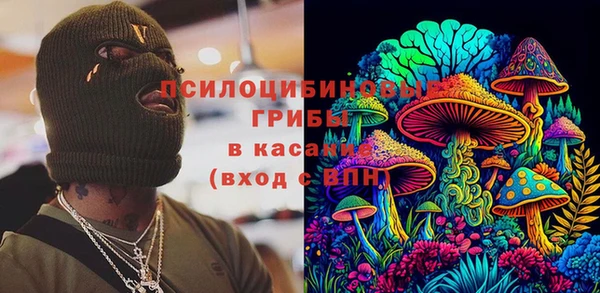 спиды Горняк