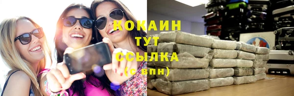спиды Горняк