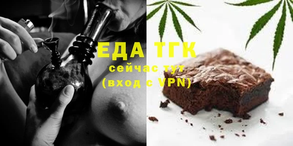 спиды Горняк
