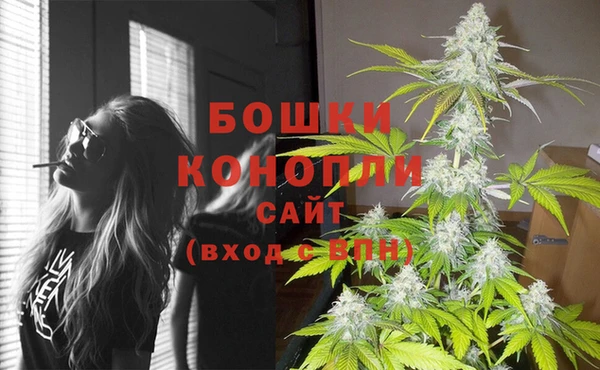 спиды Горняк