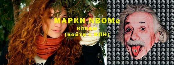 спиды Горняк