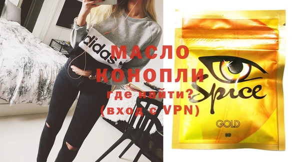 спиды Горняк
